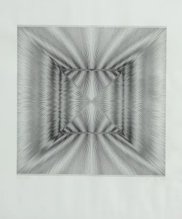 リトグラフ Wilding - SENZA TITOLO