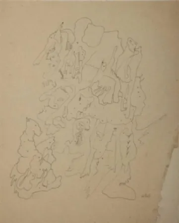 技術的なありません Wols - Les rochers du zoo