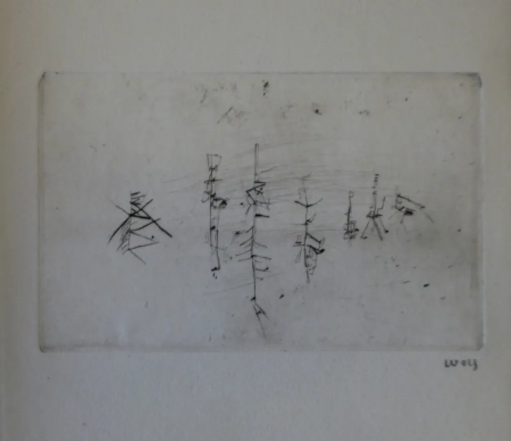 挿絵入り本 Wols - L'invité des morts