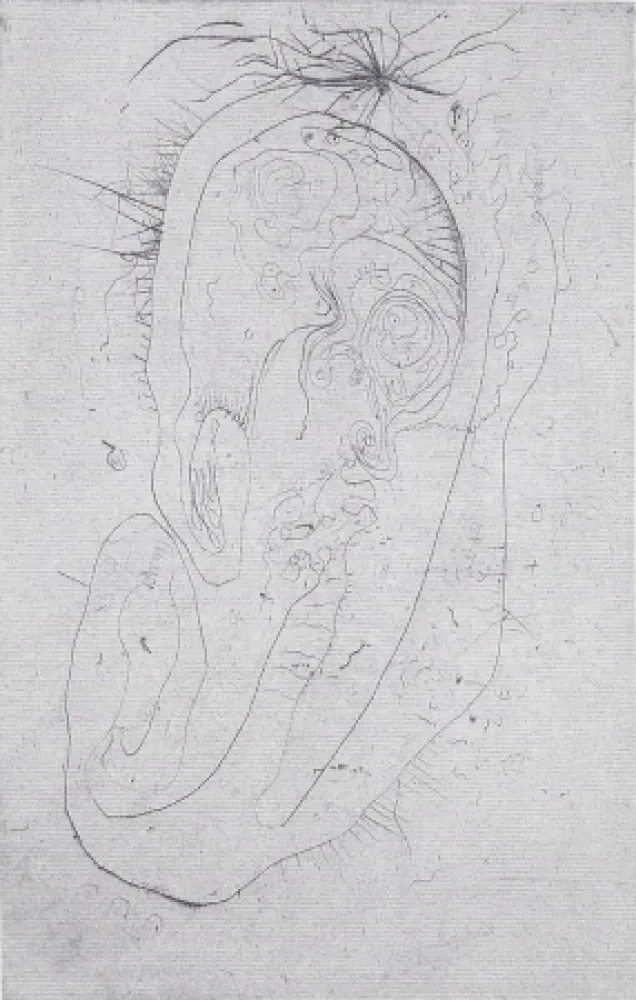 挿絵入り本 Wols - Naturelles