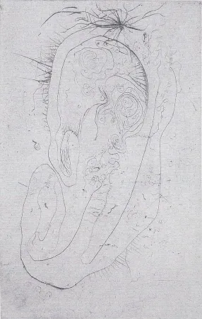 挿絵入り本 Wols - Naturelles