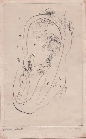 ポイントーセッシュ Wols - Ohr