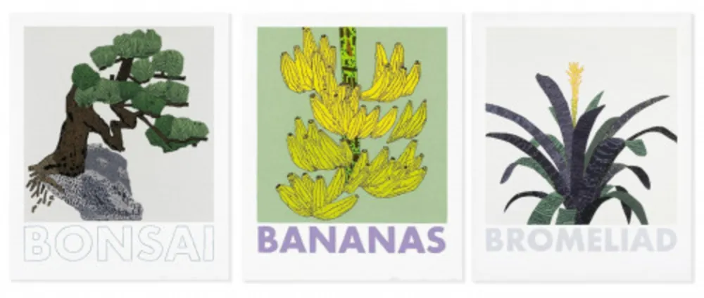 シルクスクリーン Wood - Bonsai, Banana and Bromelaid