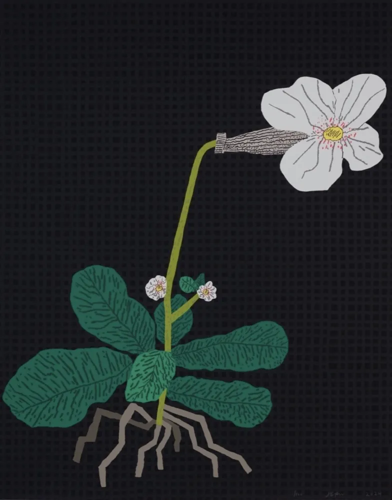 シルクスクリーン Wood - White Flower with Grid