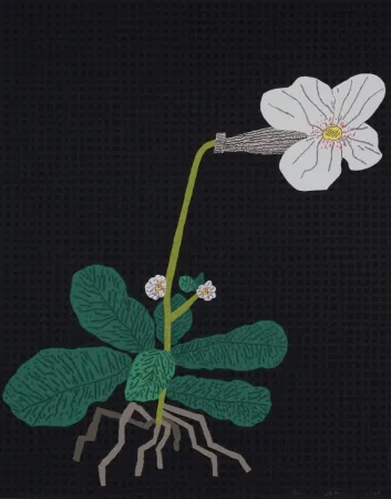 シルクスクリーン Wood - White Flower with Grid