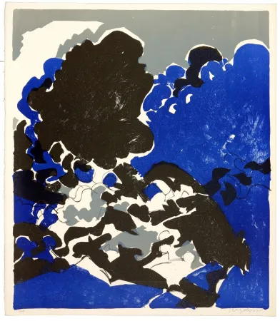 リトグラフ Wyckaert - Fureur et mystère