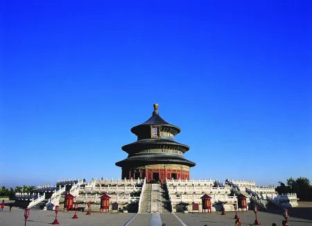 写真 Yan - Bird Tiantan No.1