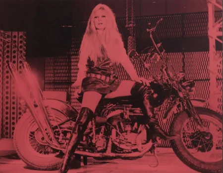 多数の Young - Bridgitte Bardot Pink