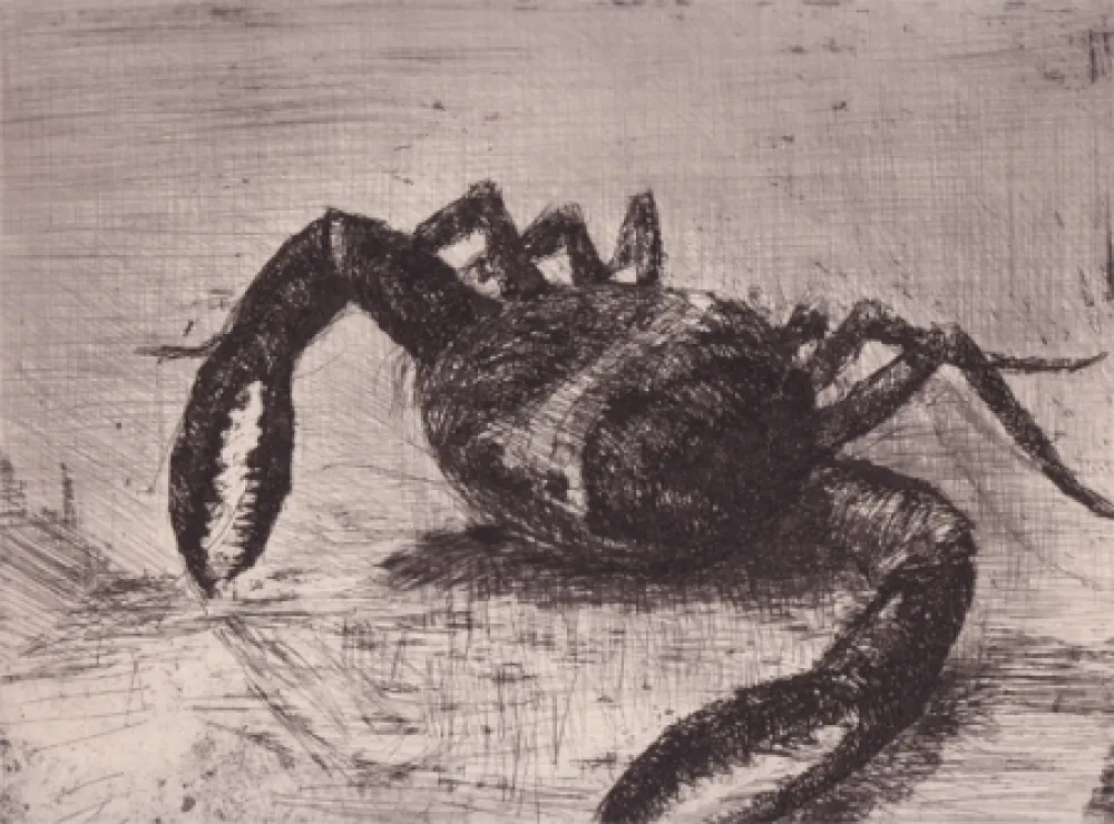 挿絵入り本 Zamorano De Biedma - Bestiaire