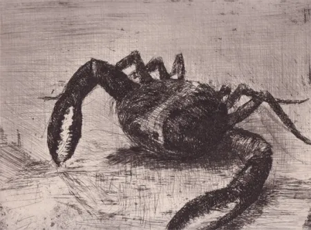 挿絵入り本 Zamorano De Biedma - Bestiaire