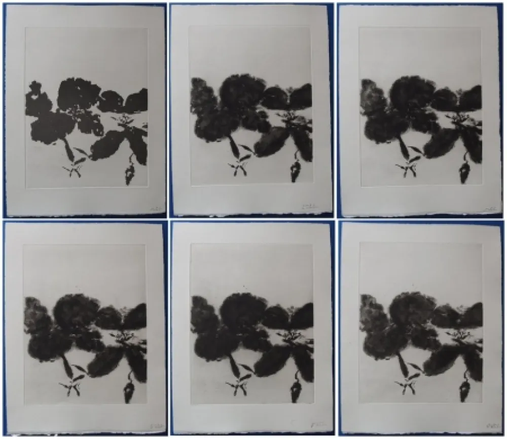 エッチングと　アクチアント Zao - 6 états de la gravure 