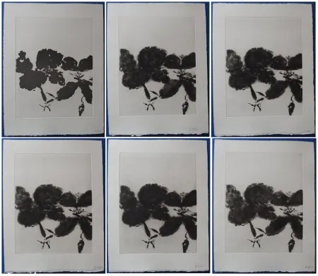 エッチングと　アクチアント Zao - 6 états de la gravure 