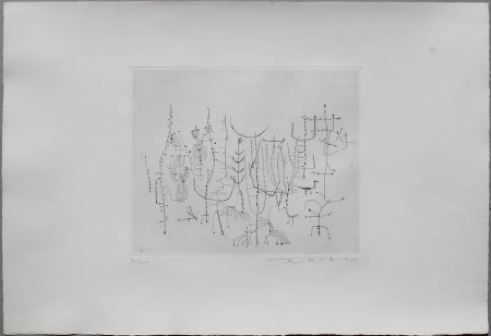 ポイントーセッシュ Zao - Arbrisseaux (Shrub)