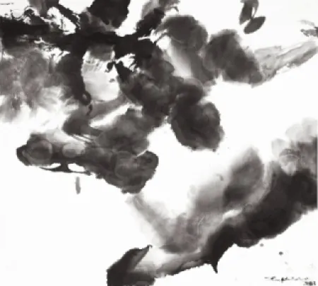 エッチングと　アクチアント Zao - Composition 1