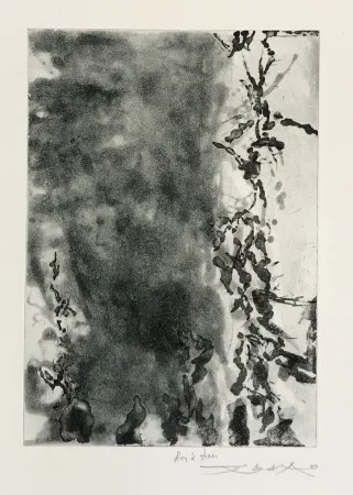 エッチングと　アクチアント Zao - Proustiennes (348)