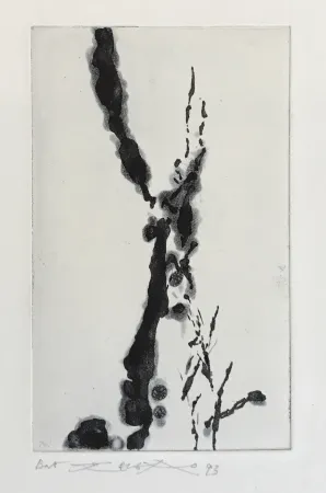 エッチングと　アクチアント Zao - Rompre le cri (374)