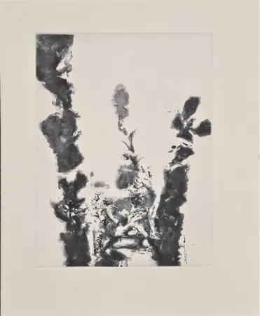 エッチングと　アクチアント Zao - XXIV Sonnets de Shakespeare