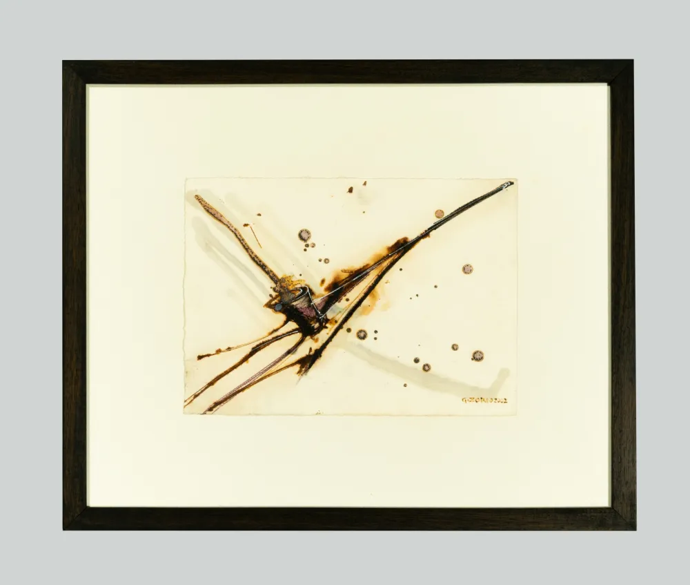 技術的なありません Zorio - Senza titolo (Canoa)