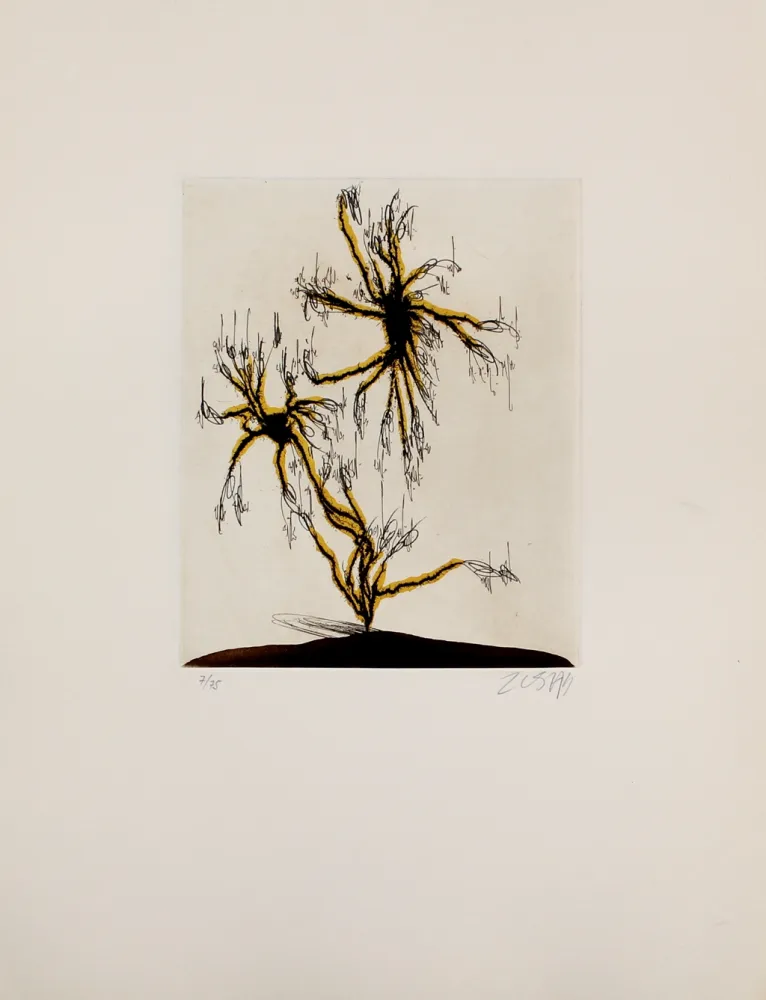 エッチングと　アクチアント Zush - Anzuras