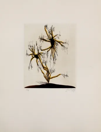 エッチングと　アクチアント Zush - Anzuras