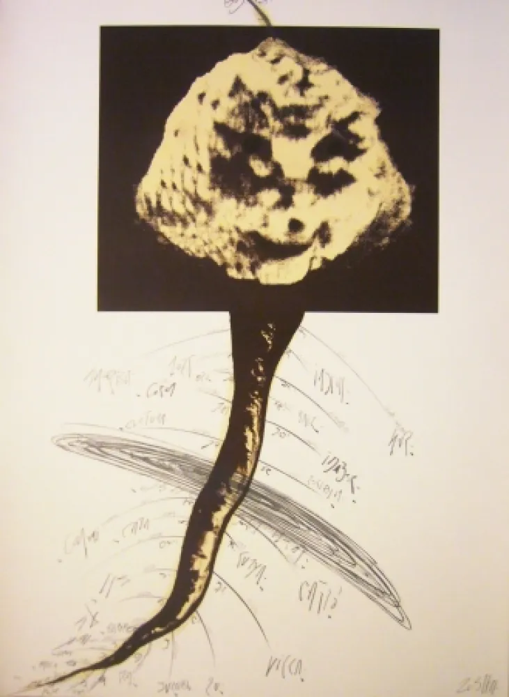 リトグラフ Zush - Sans titre 2