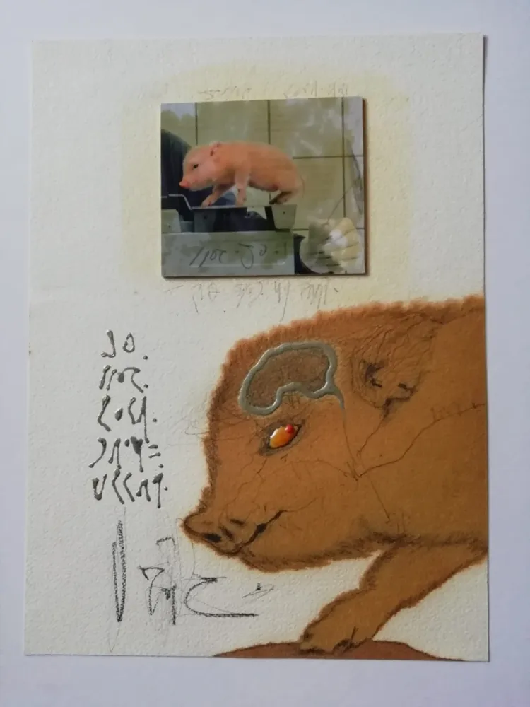 技術的なありません Zush - Socjomo