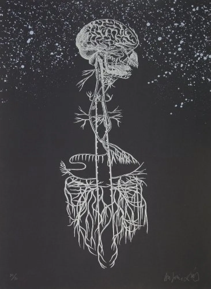 リトグラフ Diaz - Navegador