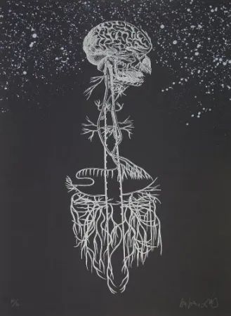 リトグラフ Diaz - Navegador