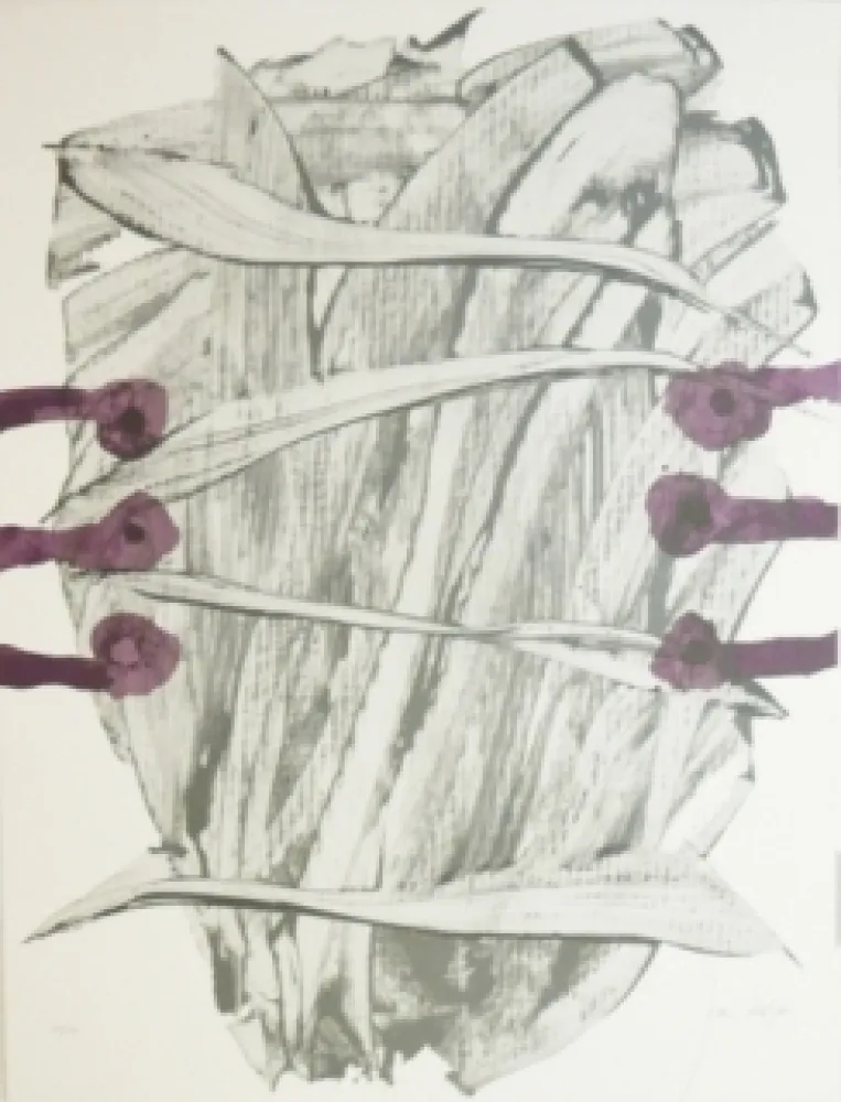 リトグラフ Duran - Weik-kei 4