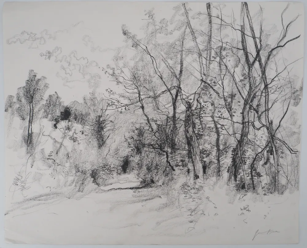 技術的なありません Gantner - Route de campagne