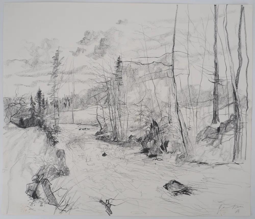 技術的なありません Gantner - Torrent dans les Vosges