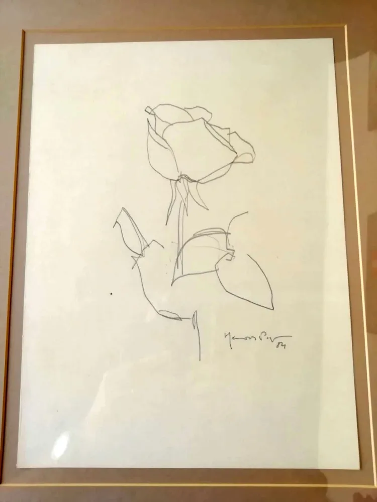 技術的なありません Hernandez Pijuan - La Rosa - 3