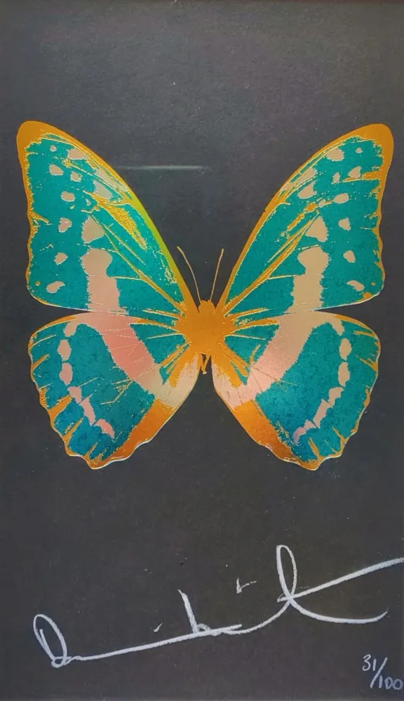 多数の Hirst - Butterfly from The Souls