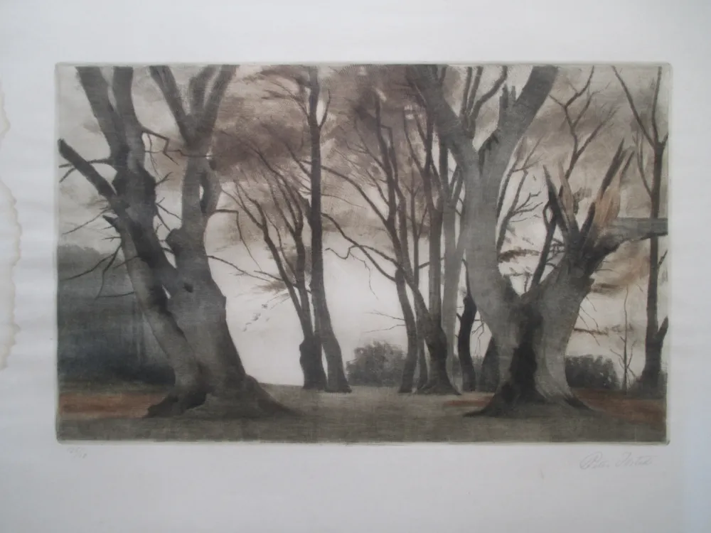 メゾチント彫法 Ilsted - Trees in Ermelunden
