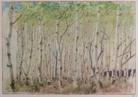 オフセット Janssen - Birkenwald. dem Axel Lebahn für seine Schilderung (p) (k)