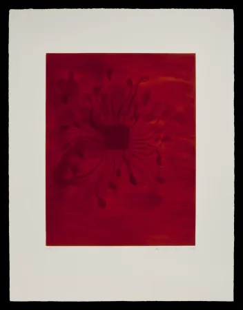 アクチアント Kapoor - S/T