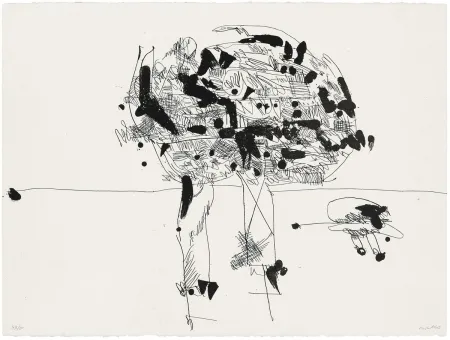 アクチアント Millares - Antropofauna