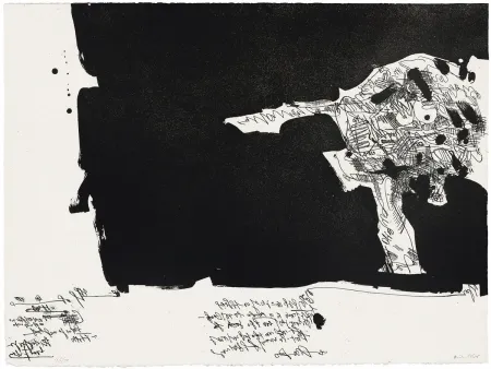 アクチアント Millares - Antropofauna