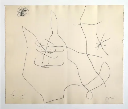 彫版 Miró - Flux de l'aimant