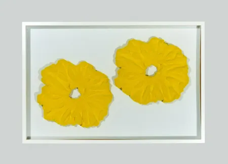 技術的なありません Pinelli - Pittura G.