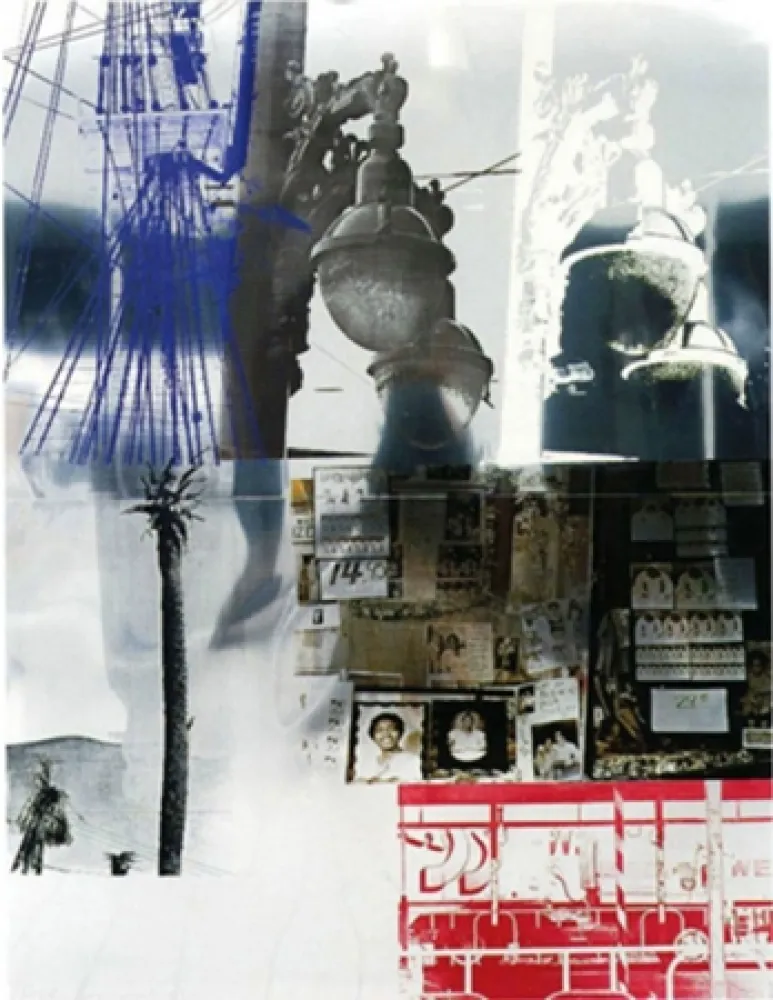 多数の Rauschenberg - Naricissus/ROCI USA (Wax Fire Works)