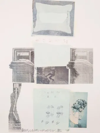 オフセット Rauschenberg - Two Reasons Birds Sing, from Suite of Nine Prints