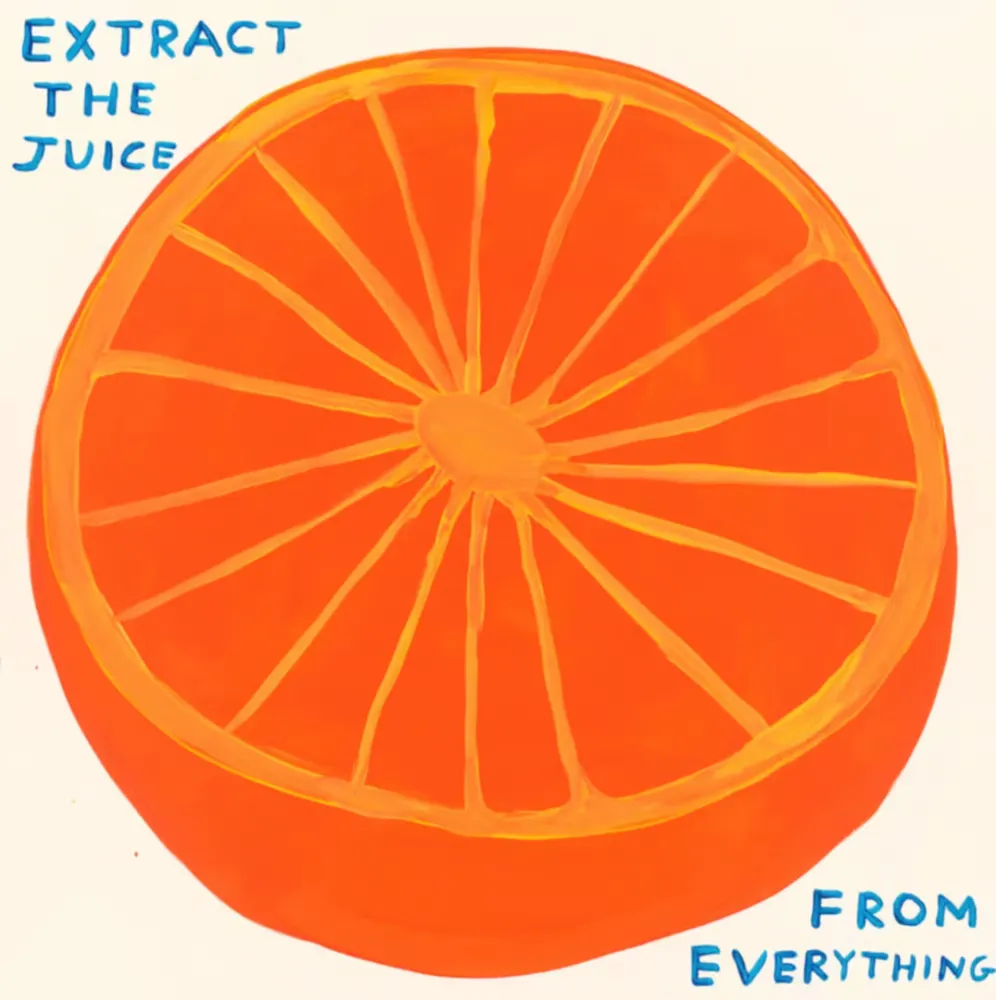 シルクスクリーン Shrigley - Extract The Juice