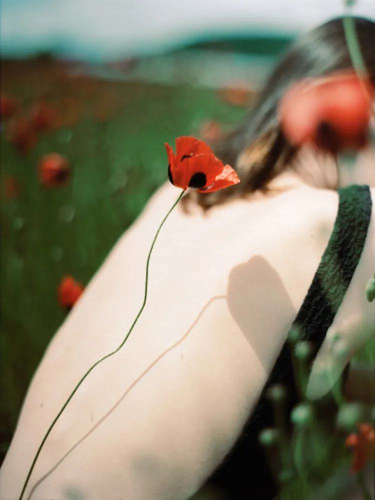写真 Sitchinava - Picnic in a Poppy Field 2