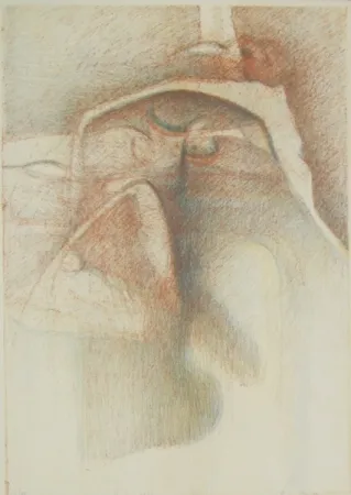 挿絵入り本 Stradella  - Vedo coi loro occhi ciechi