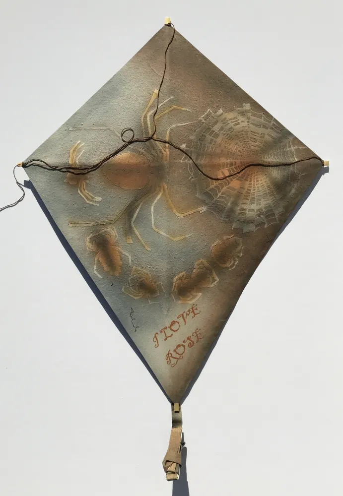 技術的なありません Toledo - Spiders with Web Kite