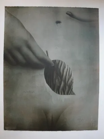 リトグラフ Wunderlich - Das Blatt